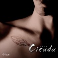 Cicada【通常盤】