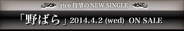 rice 待望の NEW SINGLE 「 野ばら」2014.04.02(WED) ON SALE